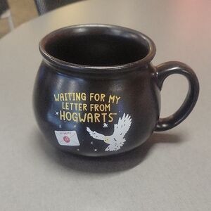 Harry Potter Waiting For My Letter From Hogwarts Cauldron Mug. Very Nice.